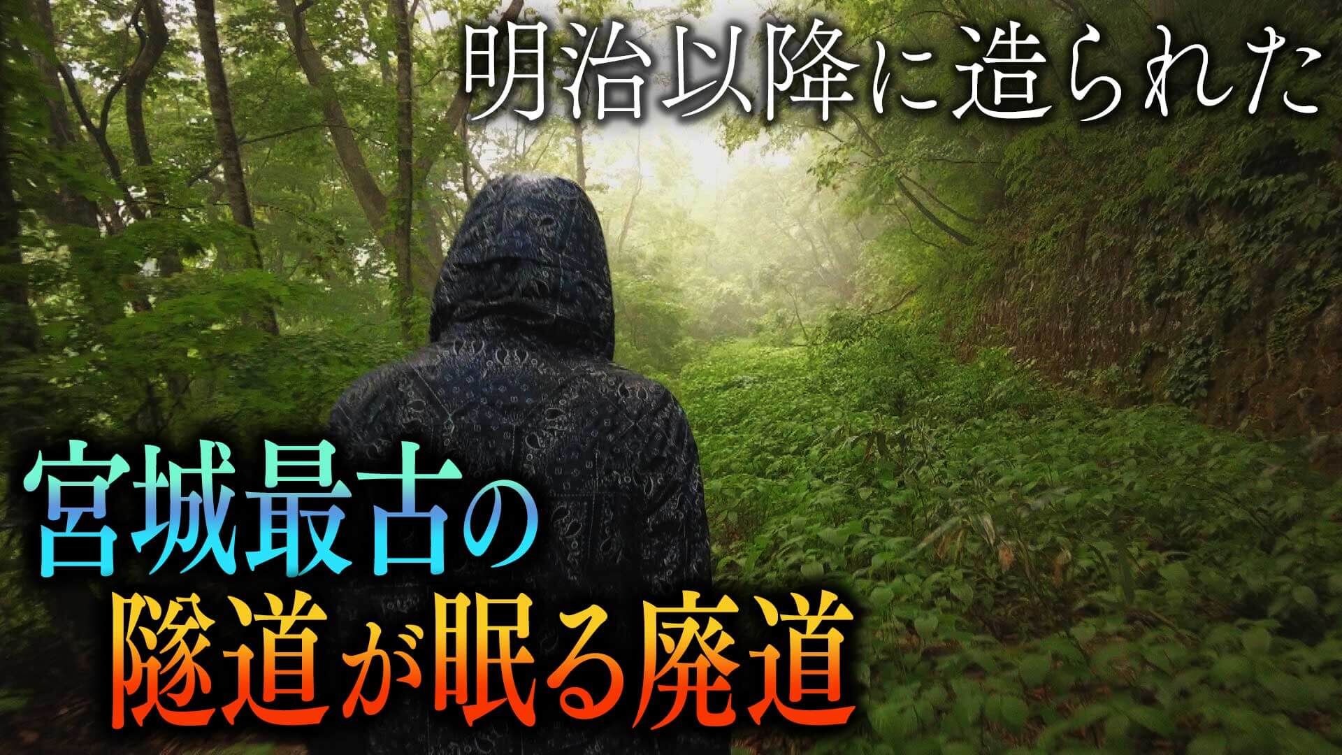 【道マニア】明治以降に造られた 宮城最古の隧道が眠る廃道【道との遭遇】