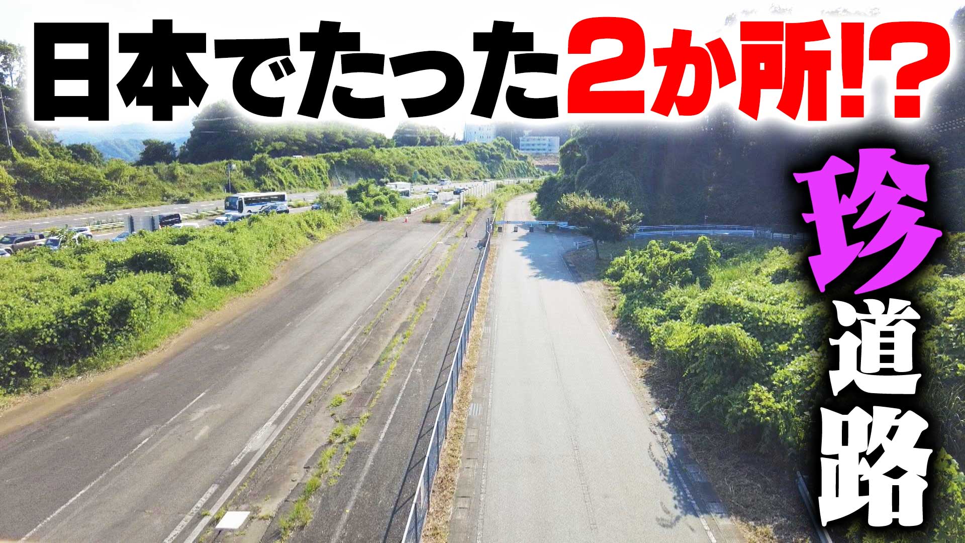 【道マニア】山梨・高側道：日本でたった2か所！？レアな道路【道との遭遇】