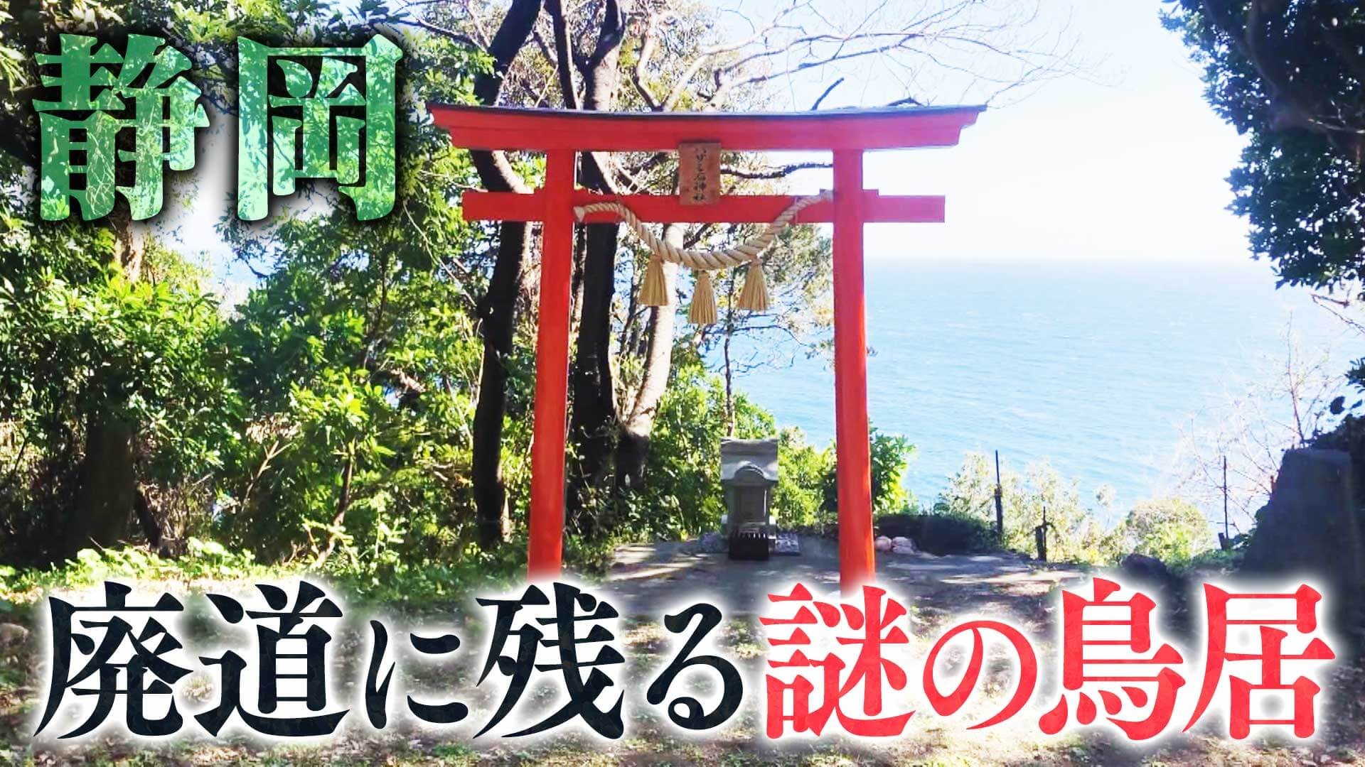 【静岡】大地震で廃道化した道に残る謎の新しい鳥居【道との遭遇】