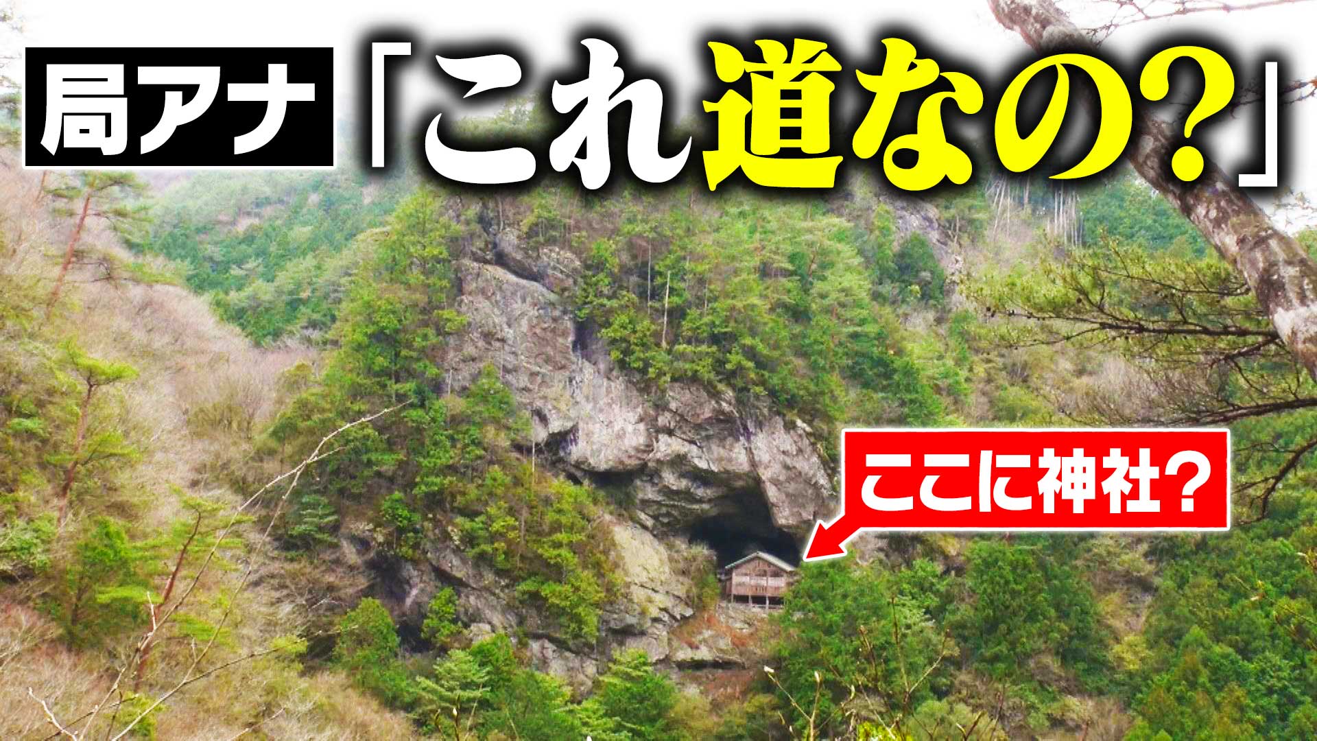 【道マニア】高知・断崖絶壁の秘境に佇む“謎神社”の参道【道との遭遇】