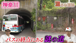 【神奈川・横浜】バスの終点にある謎の道【道との遭遇】