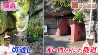 【神奈川・鎌倉】赤い門が付いた不思議な隧道を調査【道との遭遇】