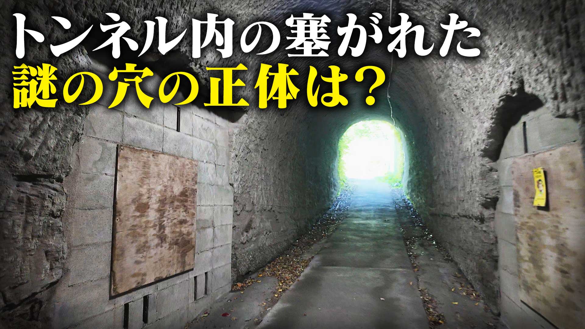 【道マニア】神奈川・鎌倉　トンネル内にある塞がれた穴の正体は？【道との遭遇】