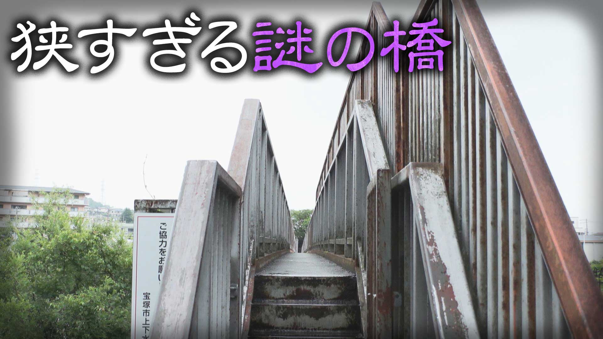 【道マニア】兵庫・宝塚市のイメージがガラリと変わる道【道との遭遇】