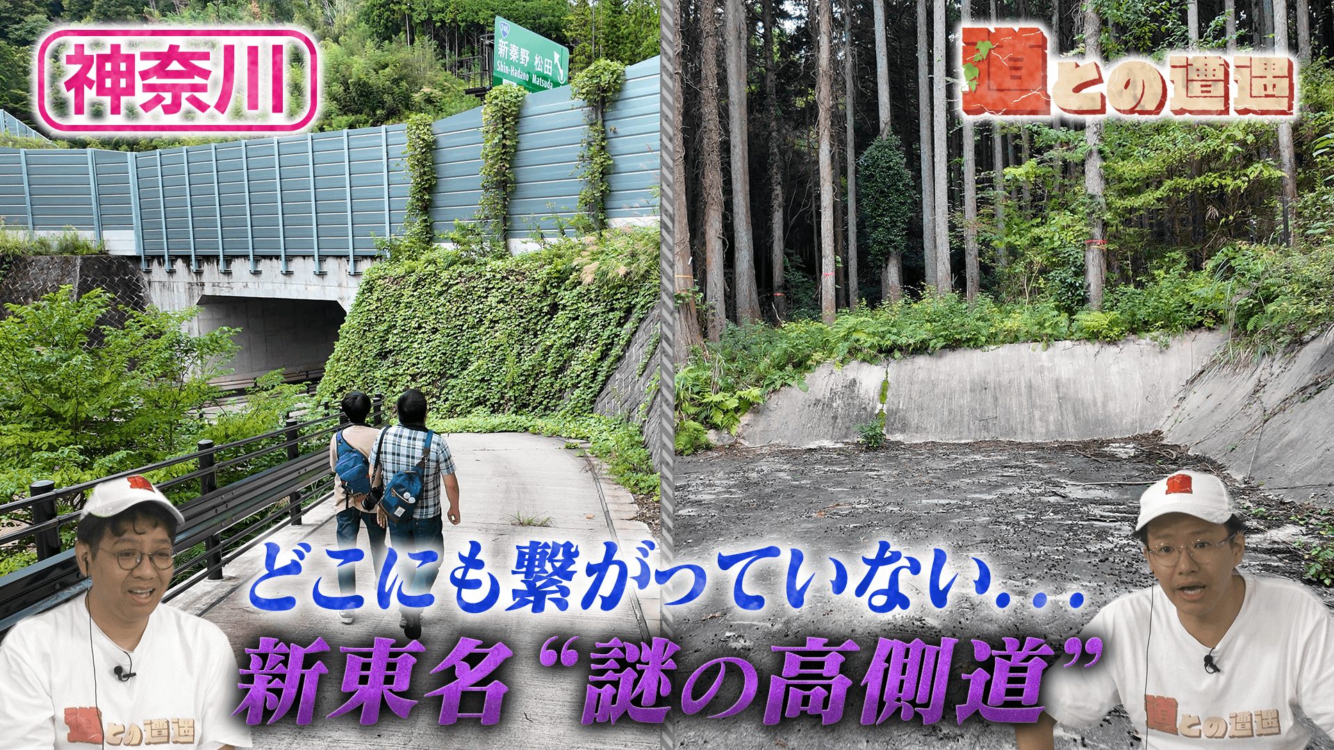 【神奈川】新東名の“謎の高側道”を調査【道との遭遇】