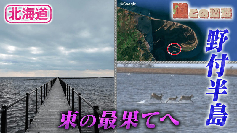 【北海道】野付半島の先端にあるものとは？【道との遭遇】