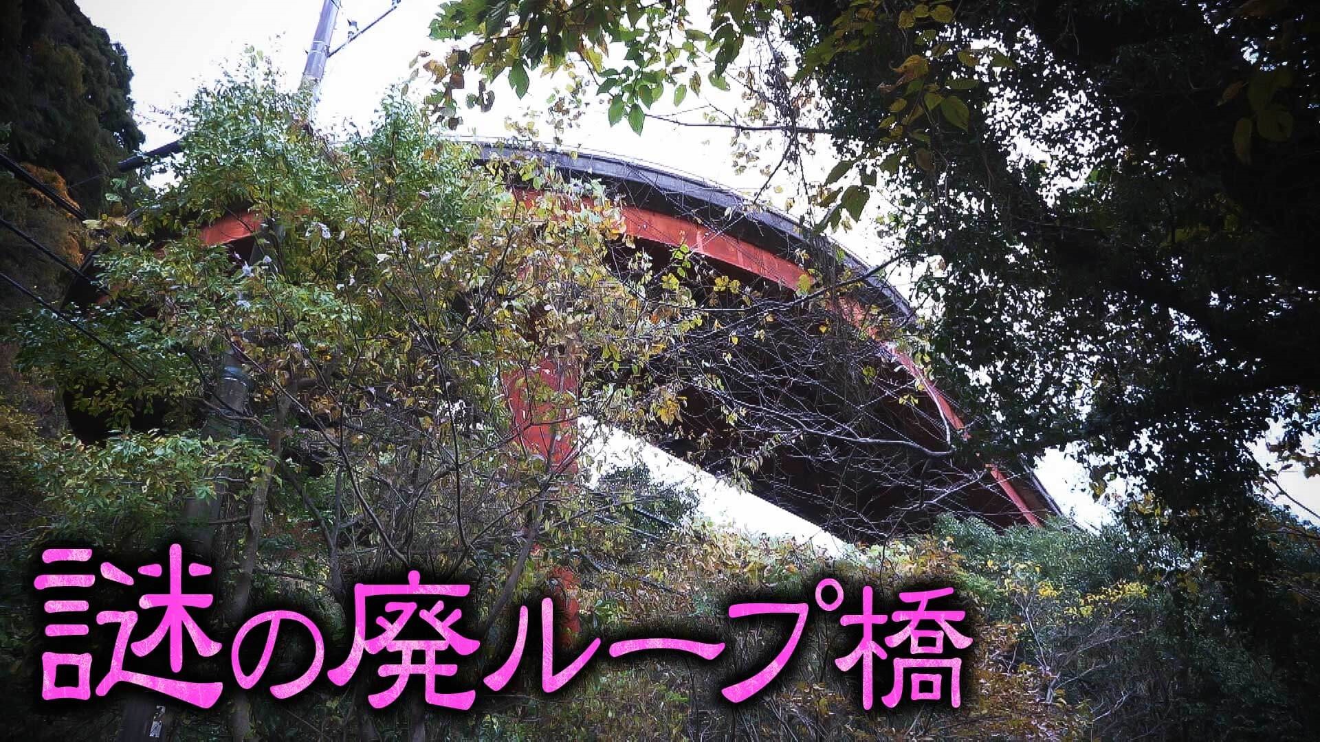 【道マニア】静岡｜別荘地・伊豆高原の街中に眠る謎の廃ループ橋へ…【道との遭遇】