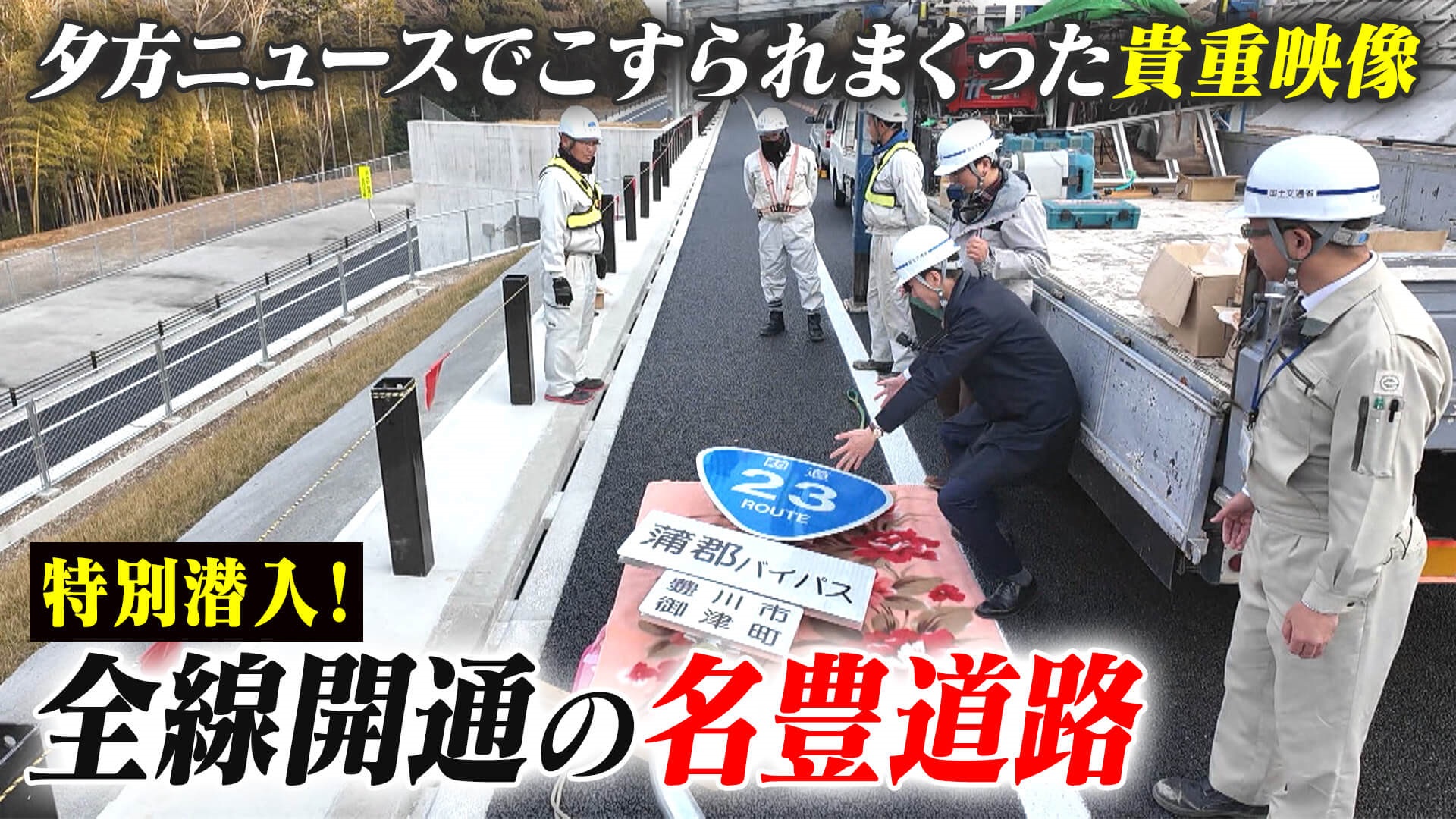 【道マニア】謎を解明・名豊道路・蒲郡バイパス【道との遭遇】