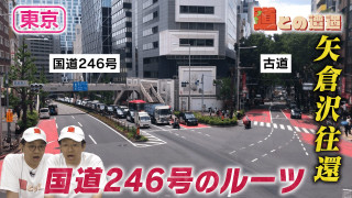 【東京】国道246号のルーツ「矢倉沢往還」を辿る【道との遭遇】