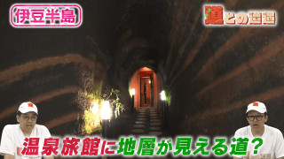 【伊豆半島】地層・地形・地質を体感できるジオパークにまつわる道【道との遭遇】