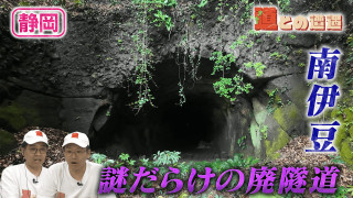 【静岡・南伊豆】謎多き廃隧道を調査【道との遭遇】