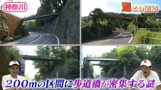 【神奈川・湯河原】温泉地に潜む４本の“謎の歩道橋”【道との遭遇】