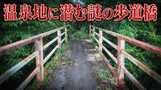【道マニア】神奈川・湯河原｜短い区間に4本… 温泉地に潜む謎の歩道橋【道との遭遇】