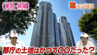【新宿】暗渠道から紐解く巨大都市の歴史【道との遭遇】