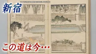【道マニア】新宿の歴史 この道は今…【道との遭遇】