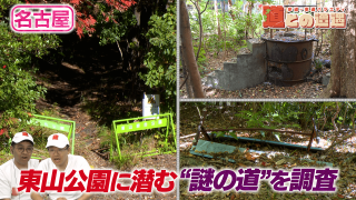 【名古屋】東山公園に潜む謎の道【道との遭遇】