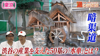 【東京】川と共に発展した「渋谷」の歴史を暗渠道から紐解く【道との遭遇】