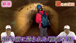【新潟】旧山古志村に眠る「廃通学路」【道との遭遇】