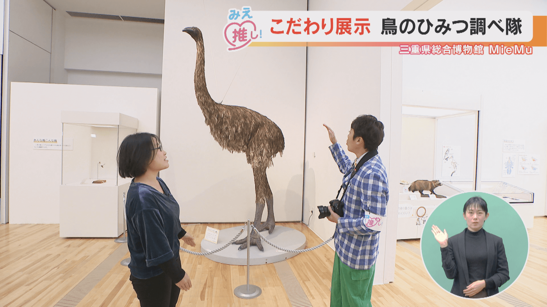 こだわり展示 鳥のひみつ調べ隊