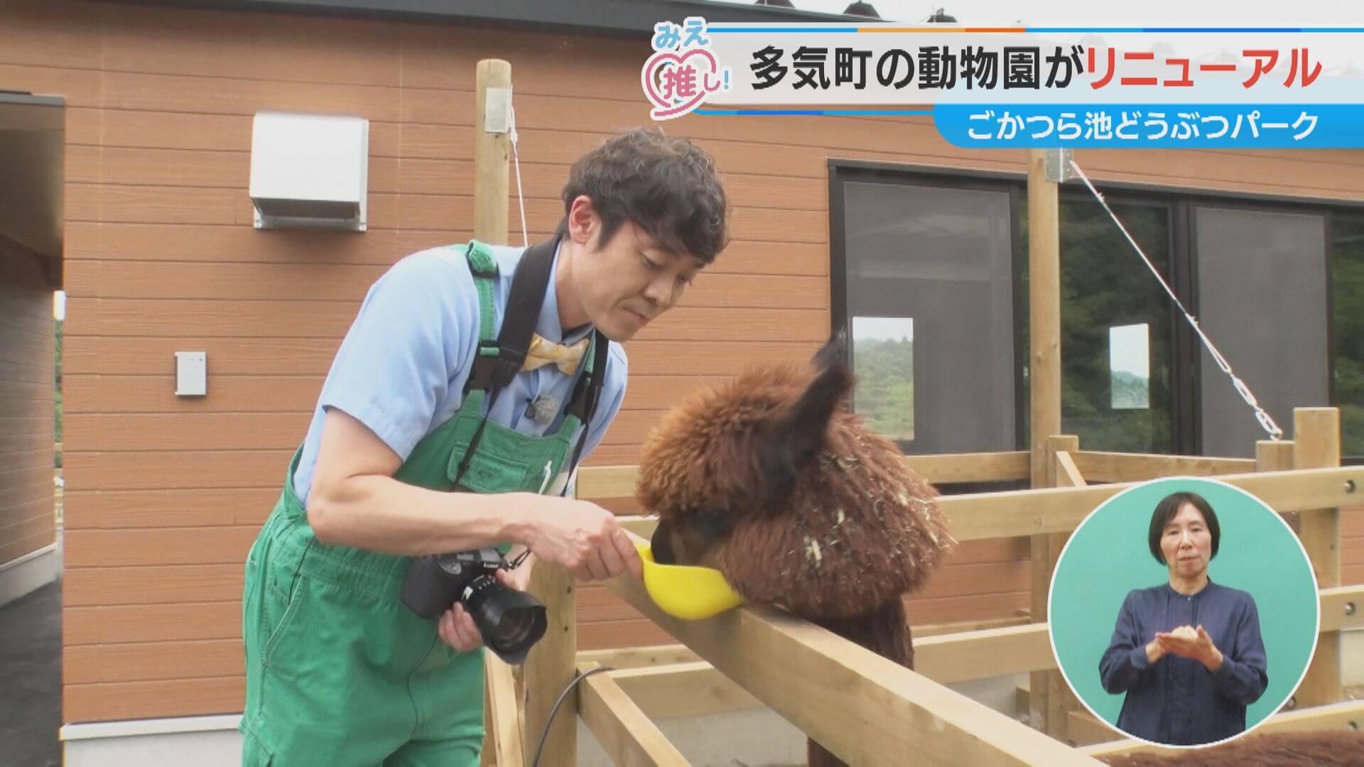 多気町の動物園がリニューアル ごかつら池どうぶつパーク