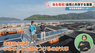 魚を栽培!自然と共存する漁業 尾鷲栽培漁業センター