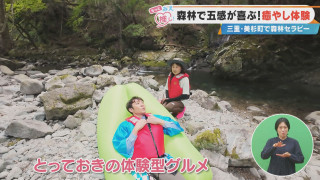 森林で五感が喜ぶ！癒し体験 三重・美杉町で森林セラピー