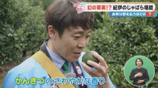 幻の果実！？紀伊のじゃばら堪能 由来は邪を払うほどの？