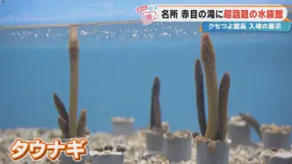  “クセが強い”と話題！？三重・名張市「赤目滝水族館」の展示がユニークすぎる