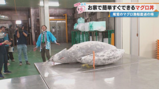 約“90kg”の天然本マグロを直送！？家で本格的な漬けマグロが味わえる“お手軽シリーズ”とは？