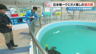 有料級なのに無料！？“ウミガメと触れ合える体験”で話題！三重・紀宝町にある日本で唯一ウミガメを飼育する道の駅とは？
