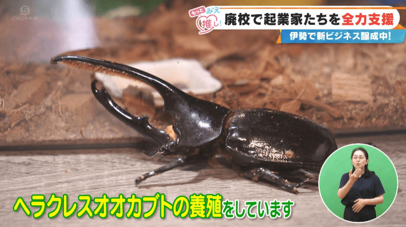 CBCテレビ『チャント！』よしお兄さんのもっと“みえ”推し