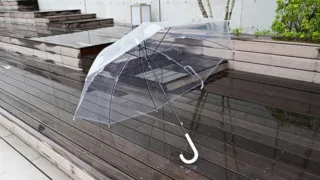 雨の日の必需品「ビニール傘」日本生まれのルーツは江戸時代の参勤交代