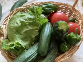 野菜が高い！コロナ禍の食卓を直撃する台所問題からの出口はいつ？