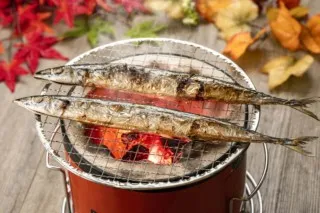 今年のサンマの味と値段は?まさかのウクライナ情勢が影響する理由