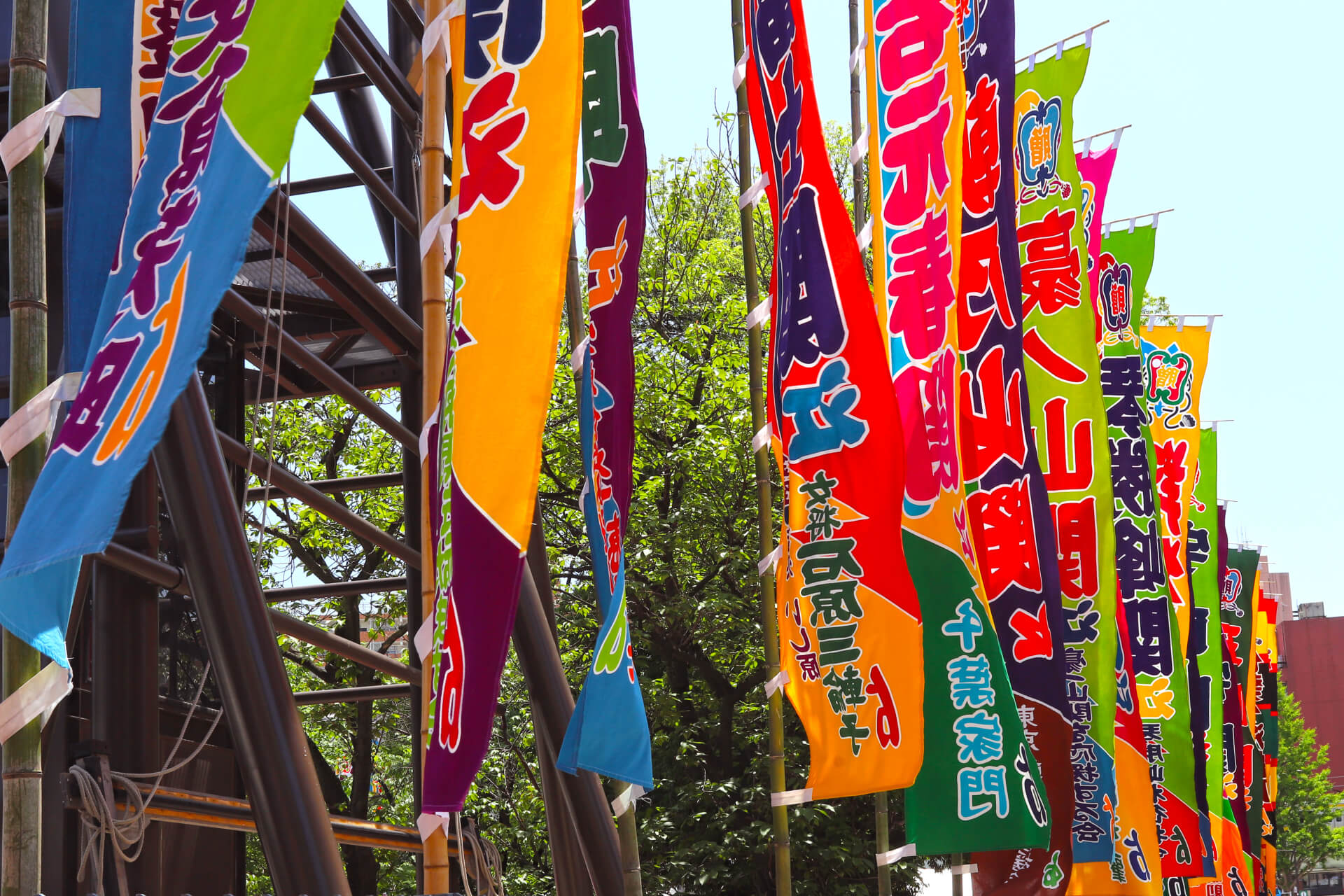 新大関・安青錦が誕生！相撲の“力強さ”で思い出す国民栄誉賞の大横綱