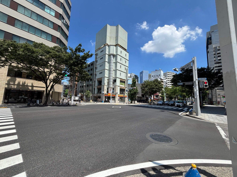 都会のアスファルト道路（名古屋市）：筆者撮影