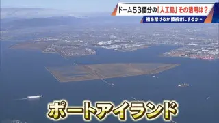 橋のない名古屋港の「人工島」どこから入る？見た目は野球のホームベース…ドーム53個分の土砂捨て場は“宝の島”か