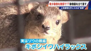 経営難の動物園から脱却を… 希少動物を無償で呼び込む“秘訣” 物価高などでいまだ半分が未公開エリア 三重･多気町の｢ごかつら池どうぶつパーク｣