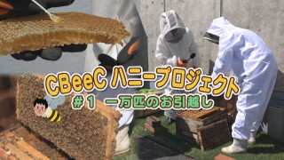 名古屋でハチミツできる?“CBeeC”ハニープロジェクト①【newsX】