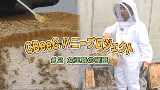 名古屋でハチミツできる?最大の難関に!“CBeeC”ハニープロジェクト②【newsX】