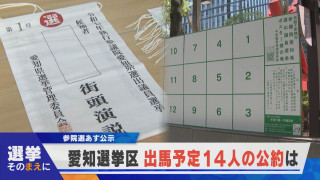 【選挙そのまえに】参院選 愛知選挙区14人が出馬予定 それぞれの選挙公約は？【newsX】
