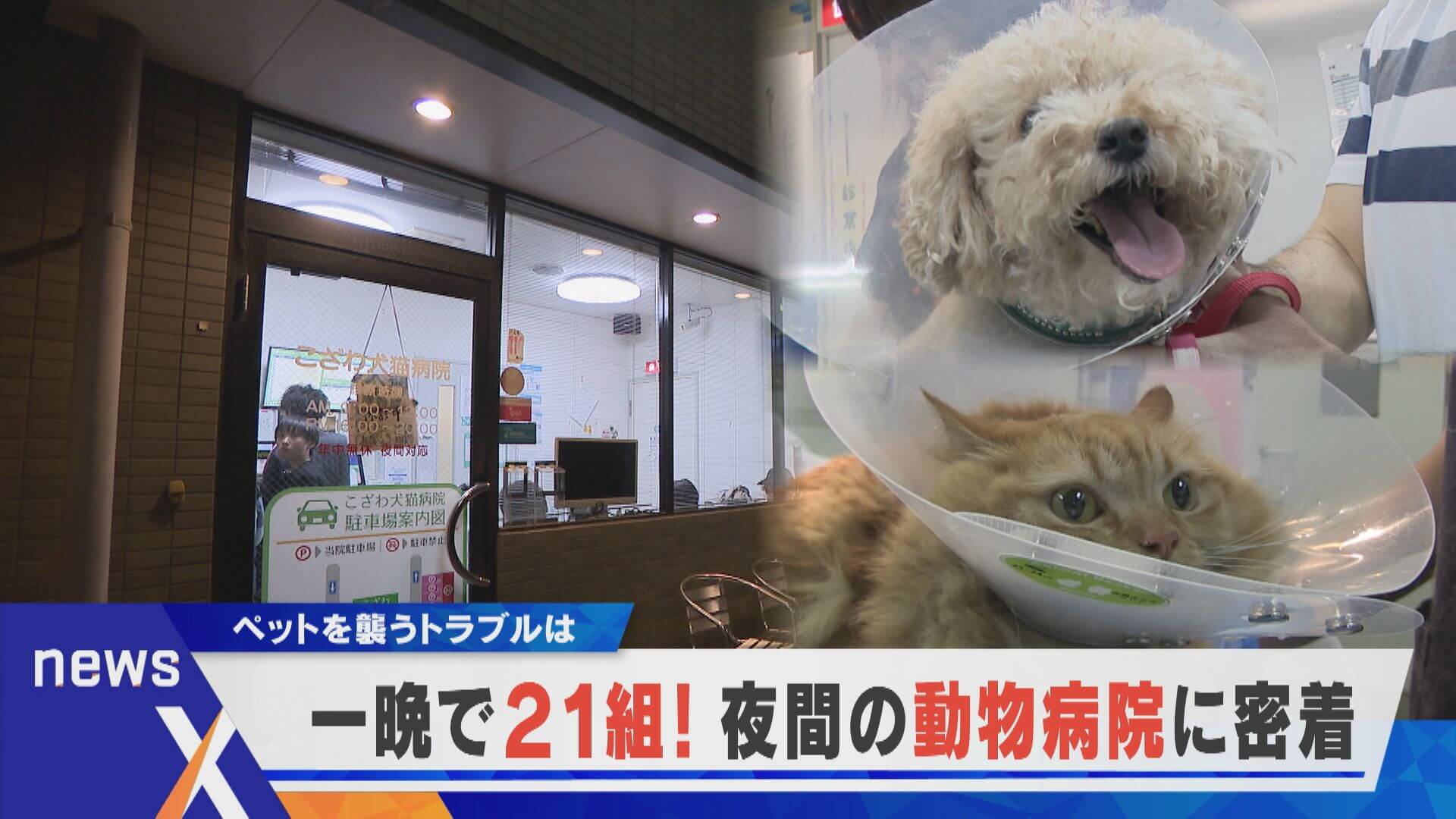 【デラ調】一晩で21組！夜間の動物病院　この時期ペット達を襲うトラブルとは？【newsX】