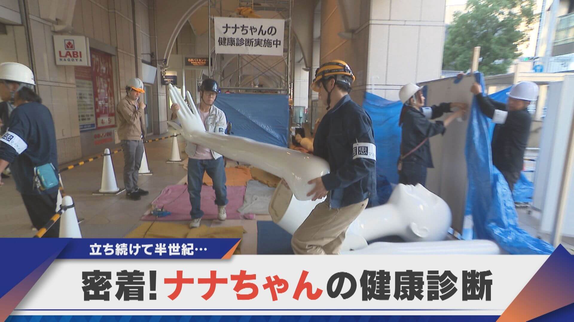 立ち続けて半世紀、ナナちゃんの健康診断【newsX】