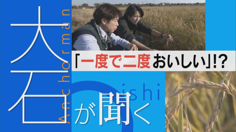 コメ収穫が1.5倍に!?「再生二期作」とは?【大石が聞く】