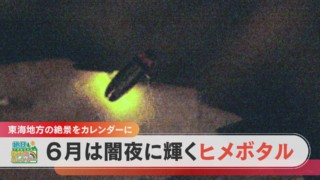 【絶景カレンダー】初夏しか見られないヒメボタルの絶景を撮影してきました!【くらしエンタメ】