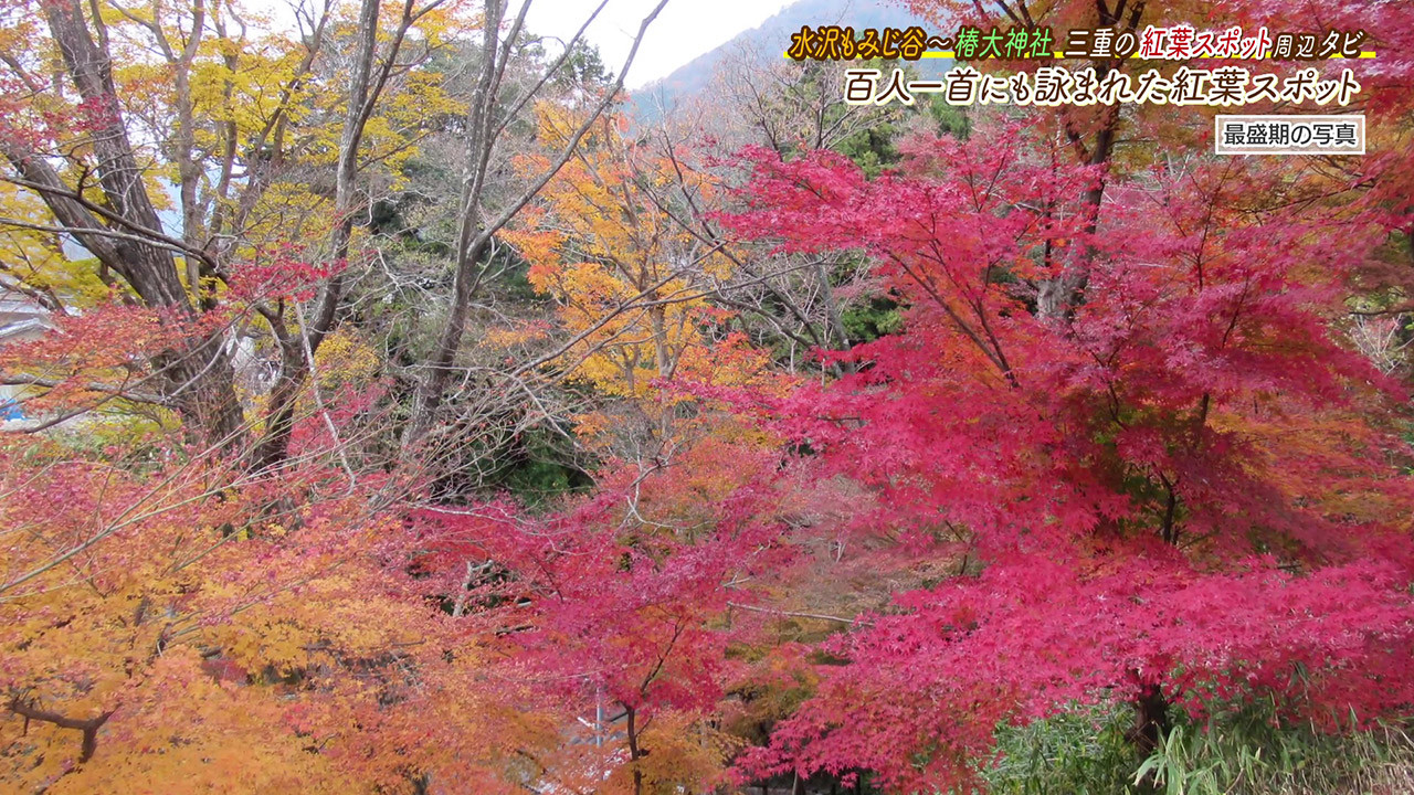 百人一首にも詠まれたほど古くから愛される紅葉の名所 水沢もみじ谷 Cbc Magazine Cbcマガジン