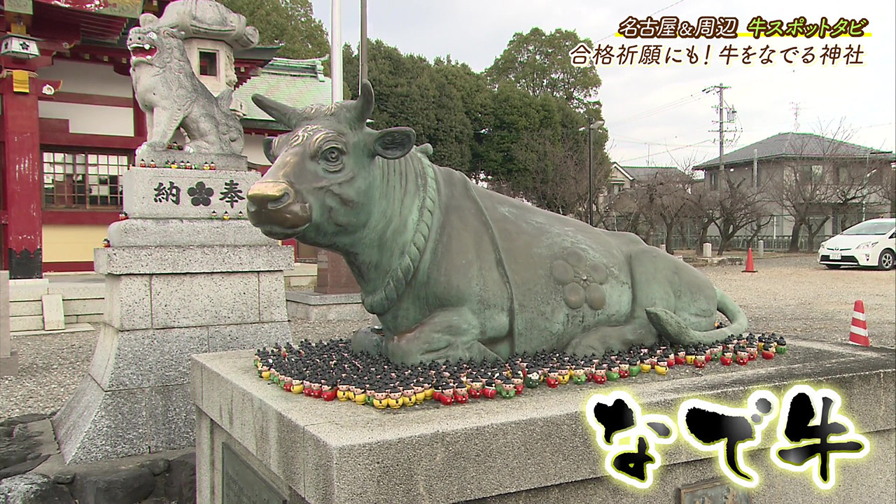 牛をなでてご利益をいただく! 学問の神様を祀る『上野天満宮』