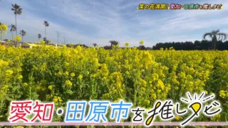 ミントのシャリを使った斬新お寿司＆海沿いオシャレカフェの絶品グルメ！菜の花咲き誇る渥美半島の魅力満載の“愛知・田原市”を巡る旅！