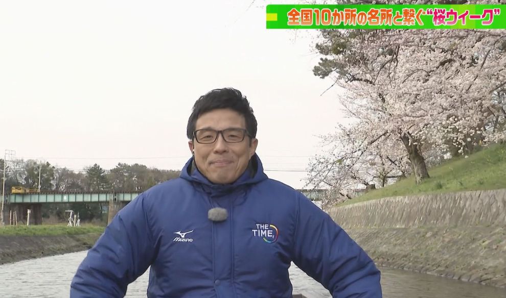 徳川家康の甲冑姿！CBC若狭アナが岡崎公園の桜を川下りでご紹介！