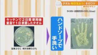 タオルはどのくらいの頻度で洗えばいいの？「お洗濯マイスター」に聞く洗い方、干し方のコツ！